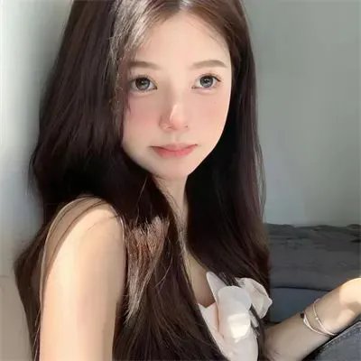 市委书记日记